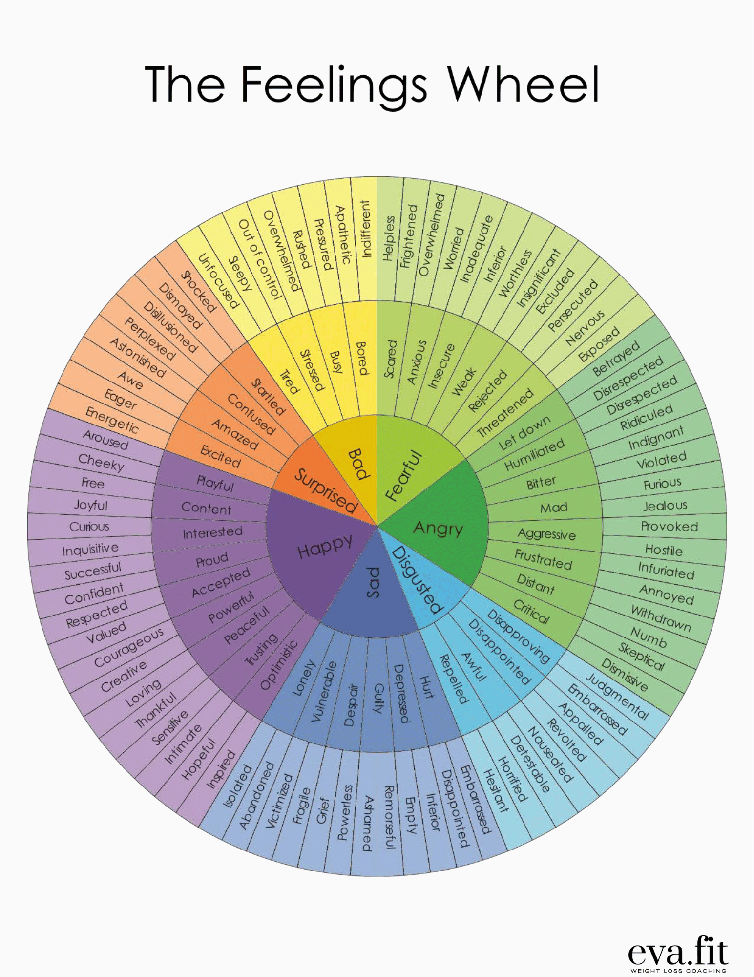 Navigating Emotions: The Power of the Feelings Wheel EvaFit by Eva